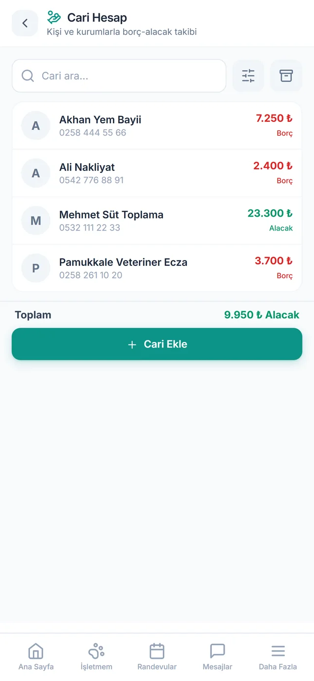 Cari hesap ekranı