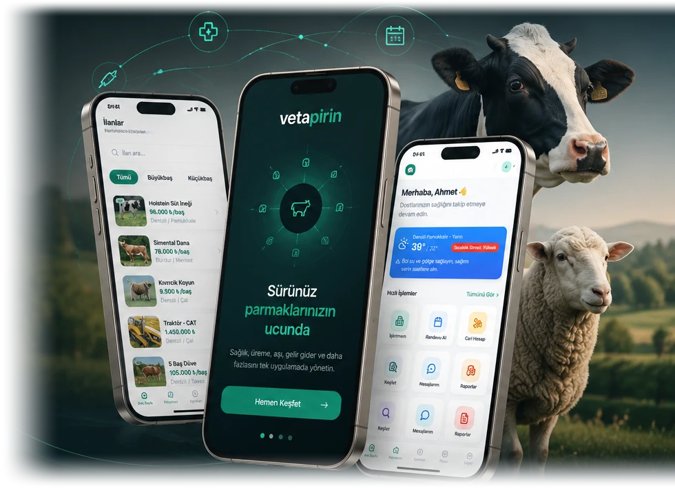 Vetapirin mobil uygulaması: ilan listesi, karşılama ekranı ve ana sayfa